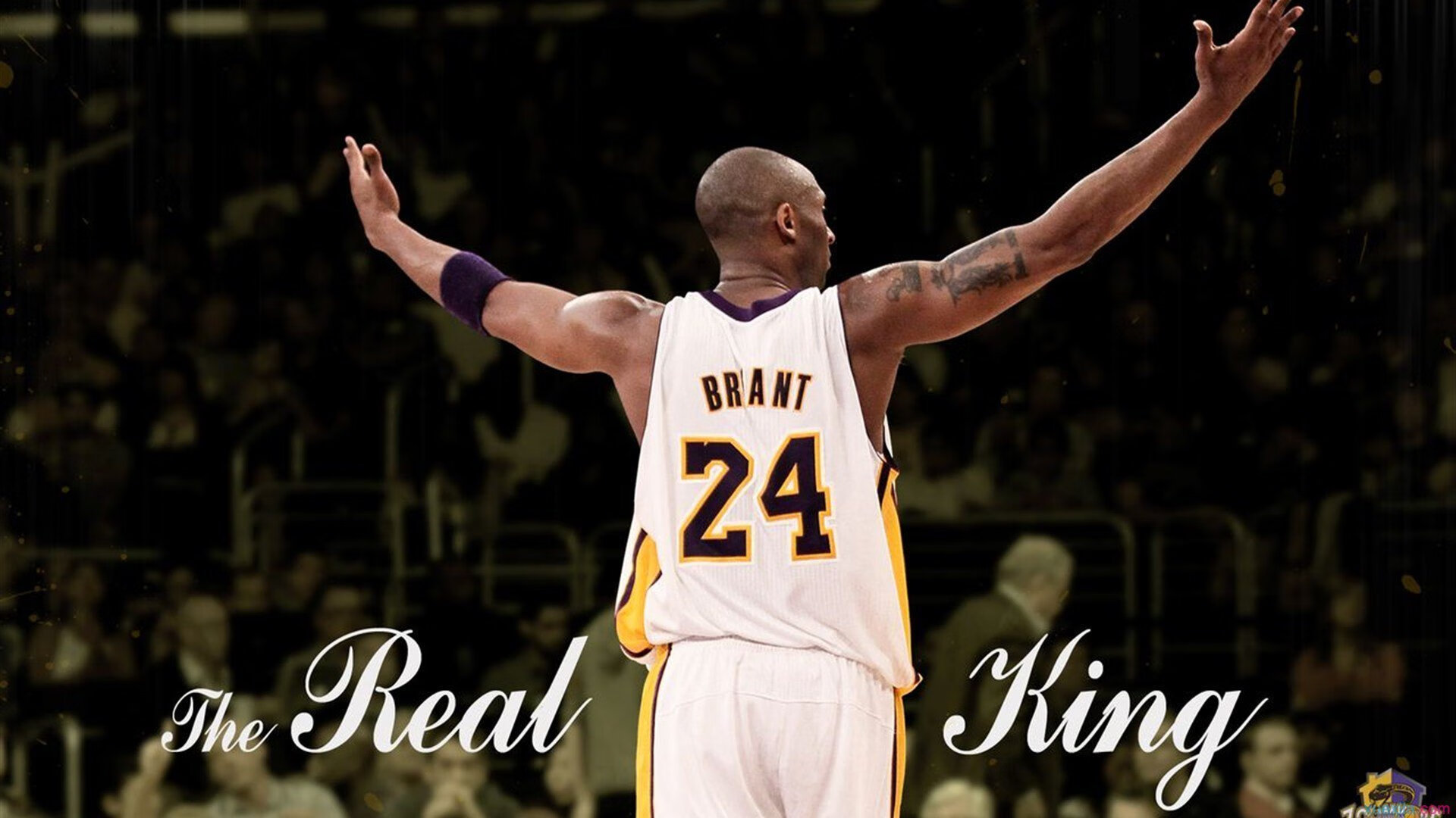 格纳布里破纪录之夜，荷兰鏖战中国背后的足球启示